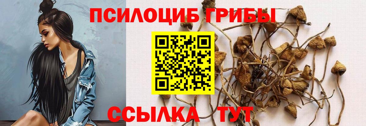 Чистополь  Галлюциногенные грибы прущие грибы  Вход с VPN 