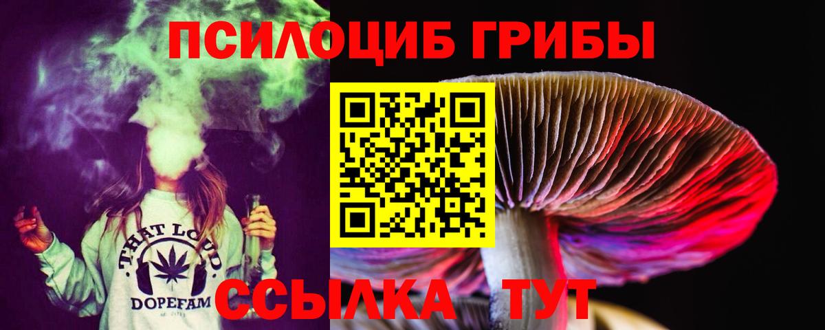 Псилоцибиновые грибы мухоморы Чистополь